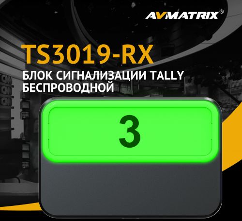 AVMATRIX TS3019-RX -06