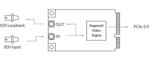 Magewell-Pro-Capture-MINI-SDI-LH-04
