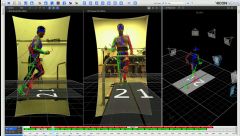 Использование видео камер в MoCap комплексе Vicon Motion Systems для задач спортивной биомеханики. Наложение 3D MoCap модели на видео (reference video camera control), включая отображение данных тензометрии (Force Plate).